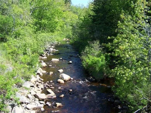 0 Village Road & Rt. 1, Gouldsboro, ME 04607