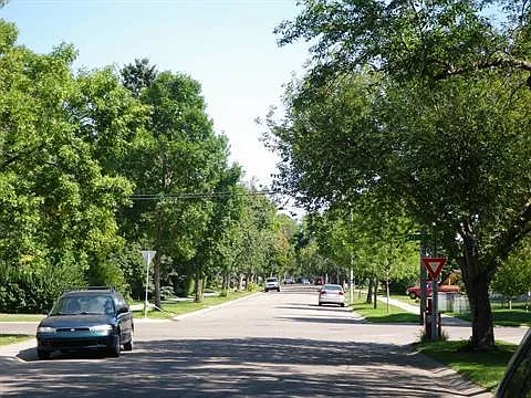 2 bed, 1.0 bath, 800 sqft, $1,259 — Photo 2