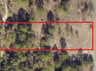 LOT 65 SW 209th Ave LOT 65, Dunnellon, FL 34431