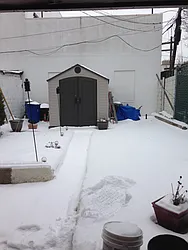 Rented by Elinor Taasa, LREB