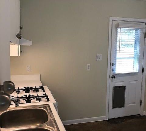 Kitchen and back door with doggy door to back yard