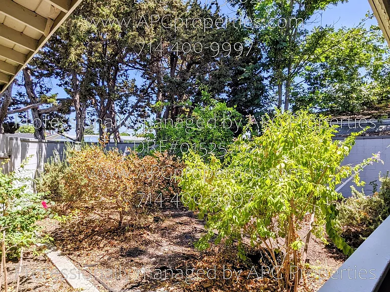 11242 Dallas Dr — Photo 58