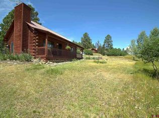 10 Pony Pl, Pagosa Springs, CO 81147