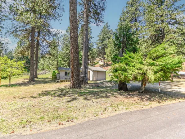 20093 Manzanita Way, Pioneer, CA 95666