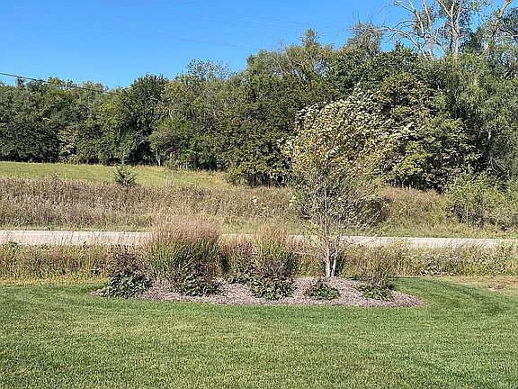 Front landscaping