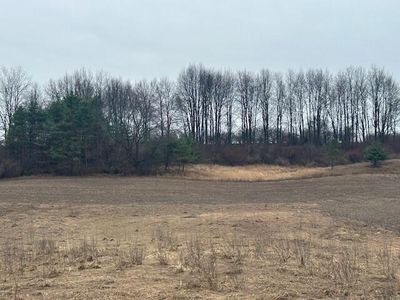 11876 10th Ave, Remus, MI, 49340