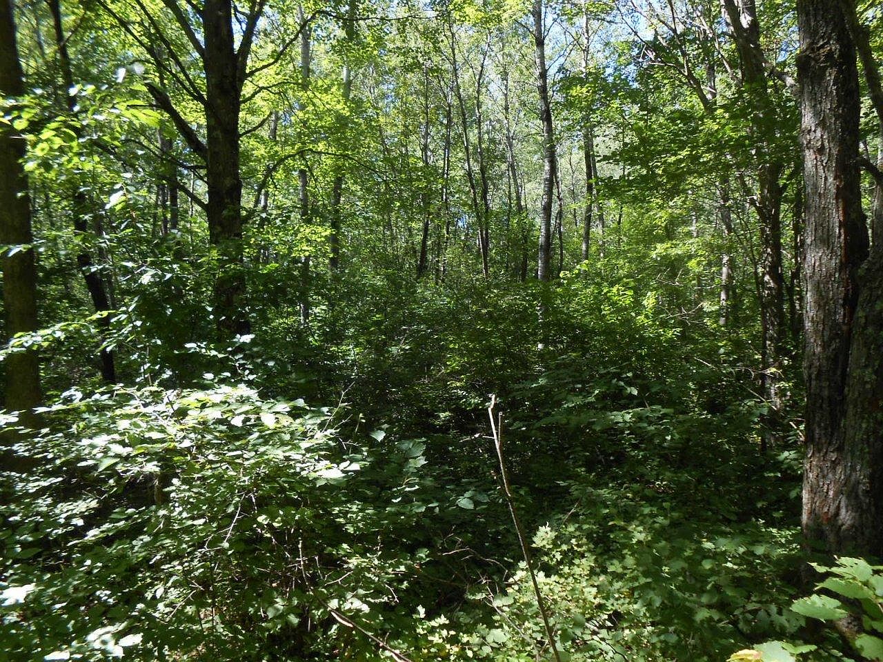 Green Creek Rd, Kennan, WI 54537 MLS 200588 Zillow