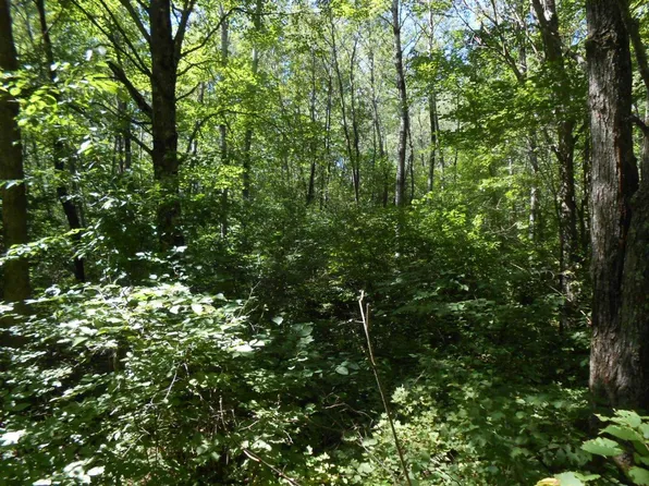 Green Creek Rd, Kennan, WI 54537