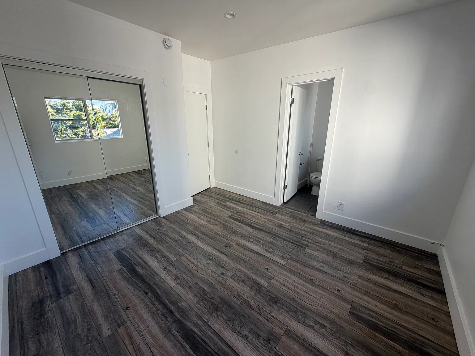 1 bed, 550 sqft, $1,800 — Photo 3
