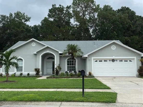 26051 Loblolly Ln, Land O Lakes, FL 34639