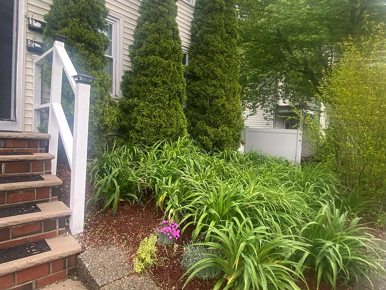 49 Devens St #2 — Photo 4