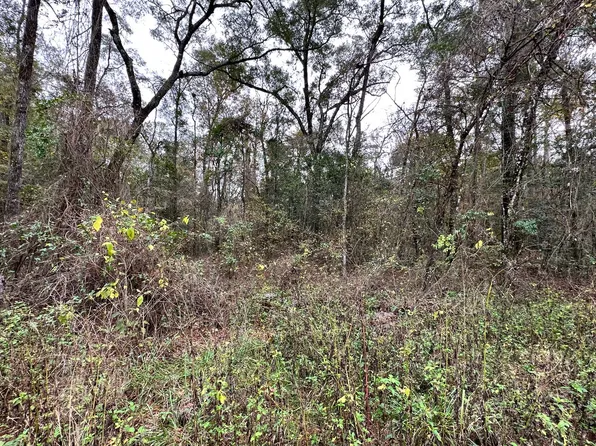 10th Terrace Lot 32, Live Oak, FL 32060