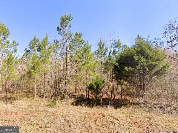 0 W Luke Rd, Temple, GA 30179
