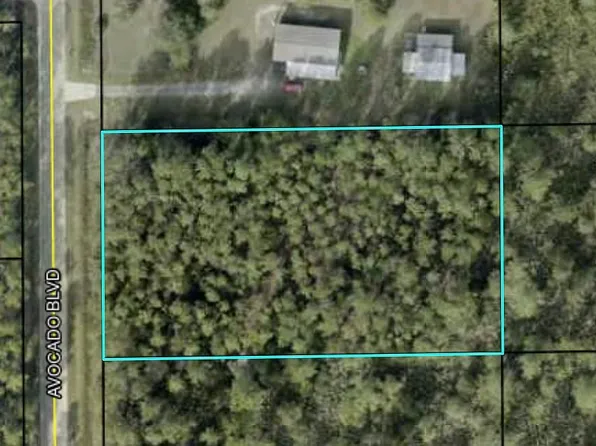 2891 Avocado Blvd, Bunnell, FL 32110