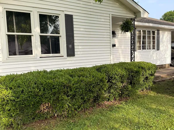 491 N Scurlock Ave, Piggott, AR 72454