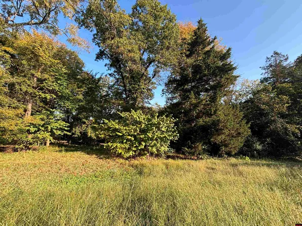 004-00426-001 Harding Blvd, Cotter, AR 72626