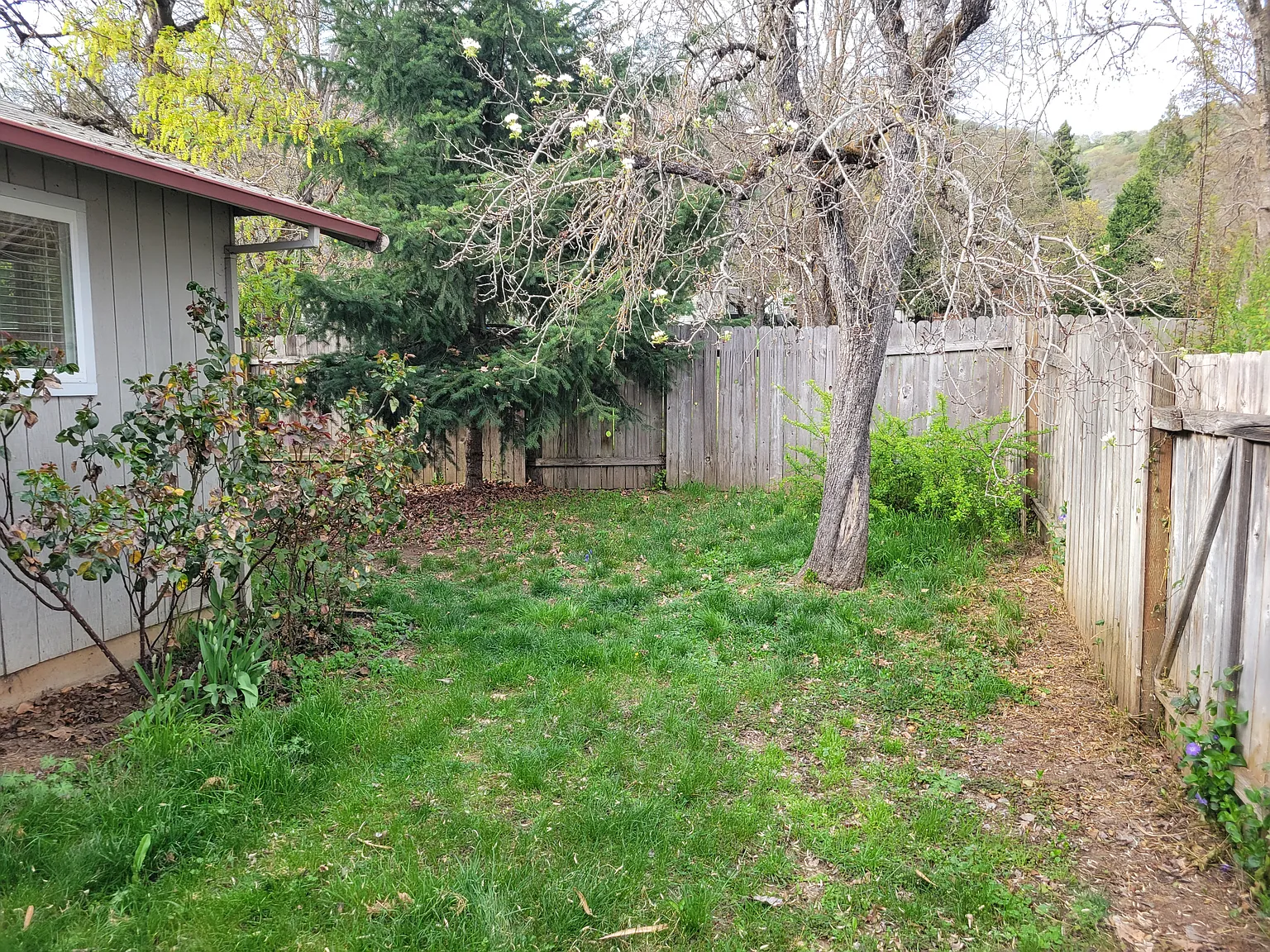 2nd Ave, Gold Hill — Photo 2