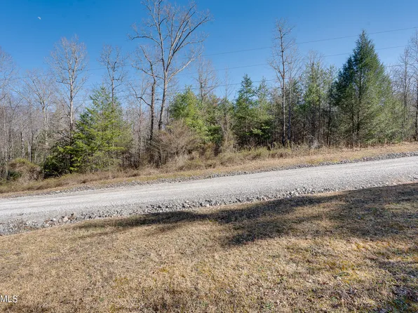 White Creek Loop, Deer Lodge, TN 37726