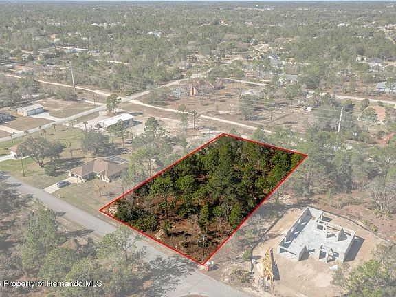 3rd image of 8447 Mazette Rd