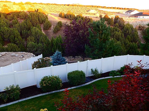 Backyard view at sunset