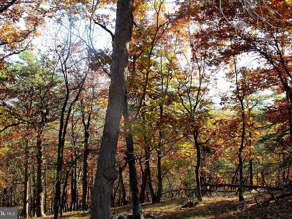 1st image of Mount Lake Retreat Dr
