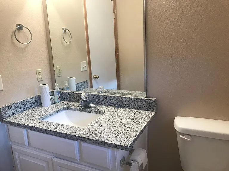 Main Bath vanity