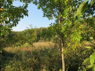 V/l Hwy #10, Scottville, MI, 49454