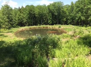 917 Horseshoe Lake Rd, Swan Lake, NY 12783