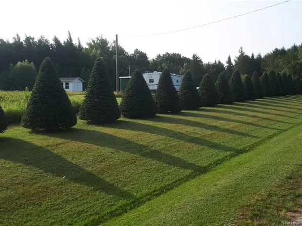 LOT Angel Rd, Saint Louis, NB E4X 2A8