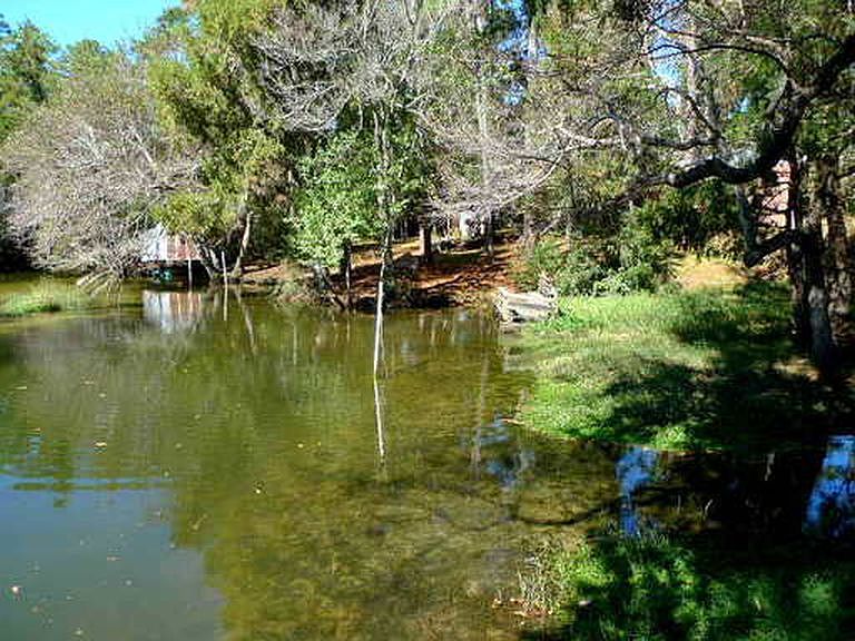 2nd image of 9181 Woodland Dr
