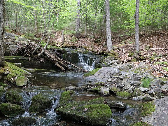 2nd image of 198 Scammon Road