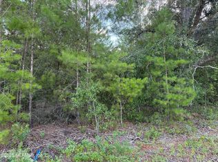 312 NEW JERSEY Avenue, Hawthorne, FL 32640