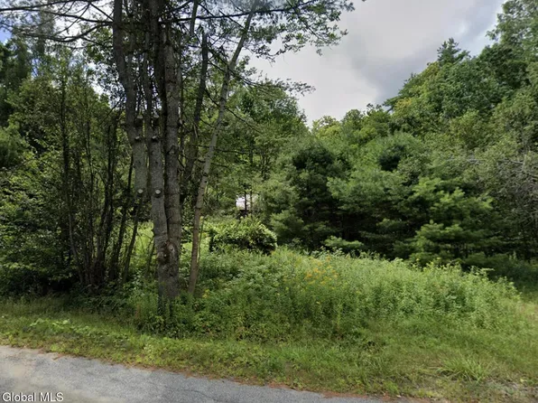 334 Grassville Road, Brant Lake, NY 12815