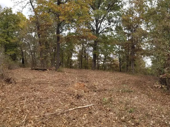 Tract 4 Creekwood Lane, Anderson, MO 64831