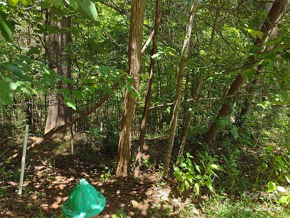 2nd image of LOT 2 Wilkerson Ct
