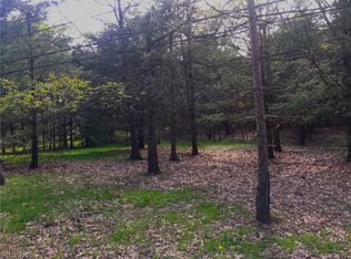 Lakewood Rd, Ravenna, OH 44266