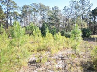 600 Salem Ct, Havelock, NC 28532