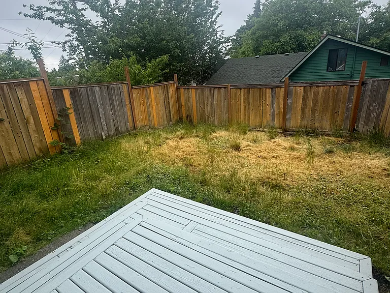 Fenced backyard