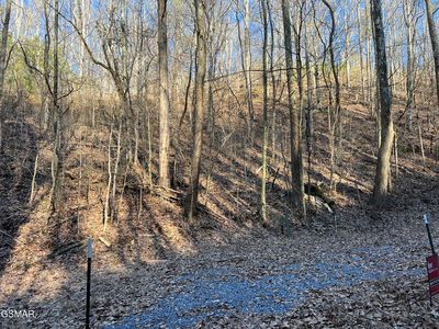 LOT 1 Indian Gap Rd, Sevierville, TN, 37876