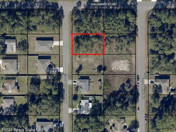3207 Hainsworth Ave SE, Palm Bay, FL 32909