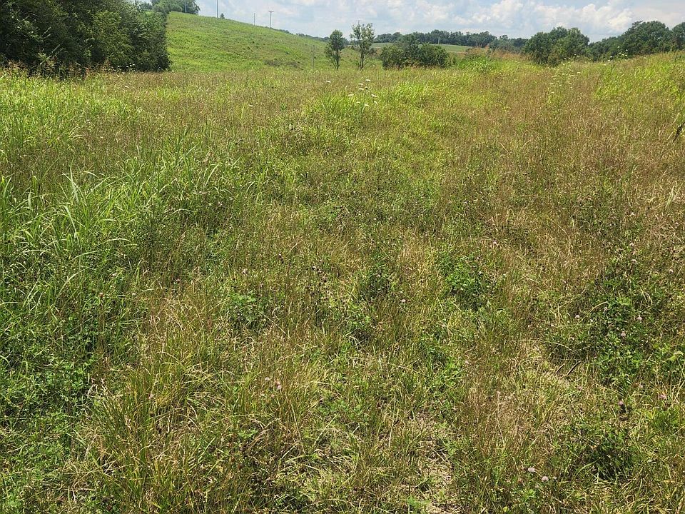 2nd image of 2145 Ruddles Mill Rd