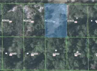 327 Rosewood St, Georgetown, FL 32139