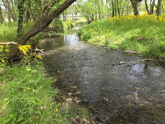 2nd image of 0 Golden Hollow Rd