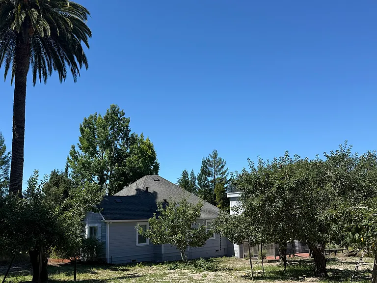 another view