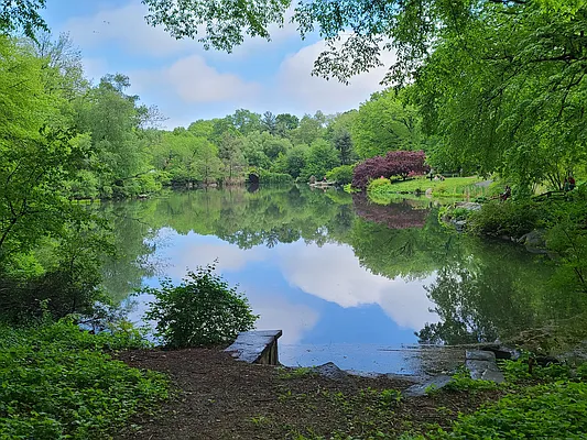 Rented by Bond New York | media 1