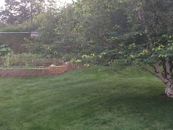 Backyard garden/landscaping