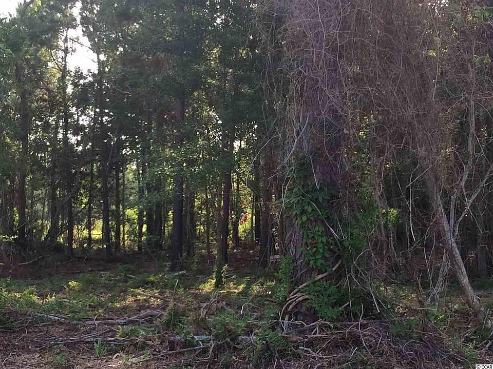 2nd image of Lot 3 Scipio Ln.
