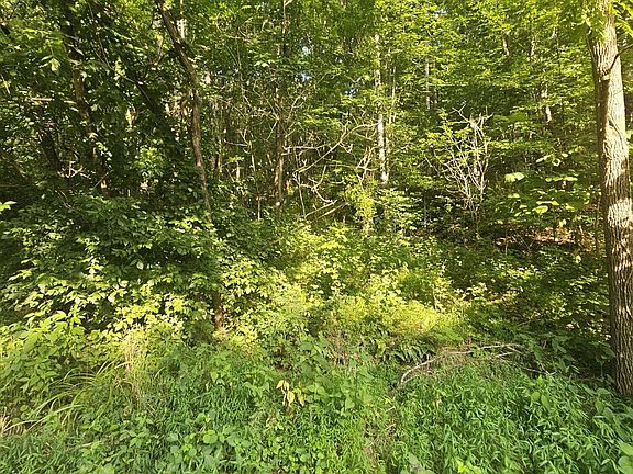 2nd image of 0 Crusenberry Rd