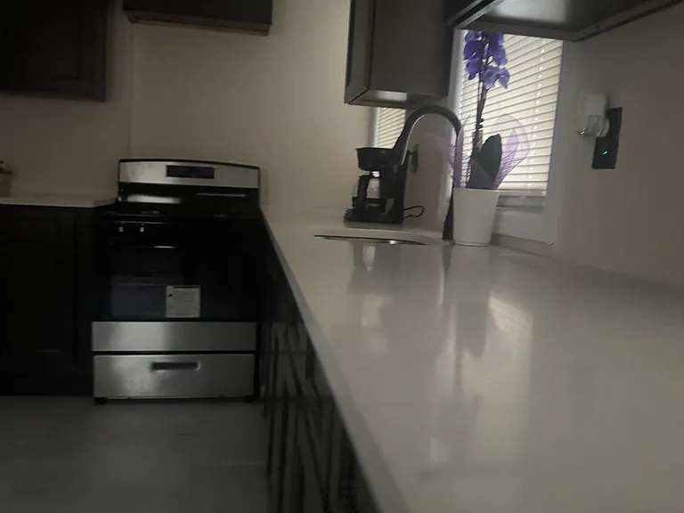 113 N 16th St #1 — Photo 3