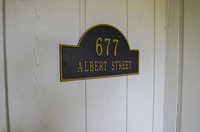677 W Albert St photo 1
